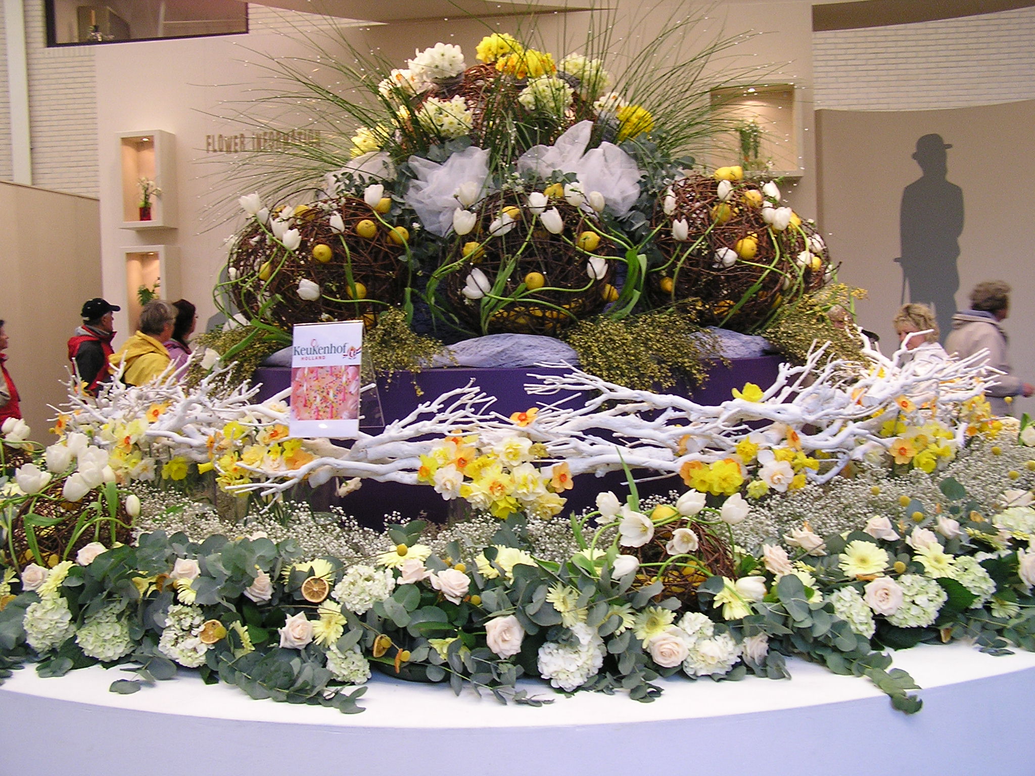 P1010197.JPG