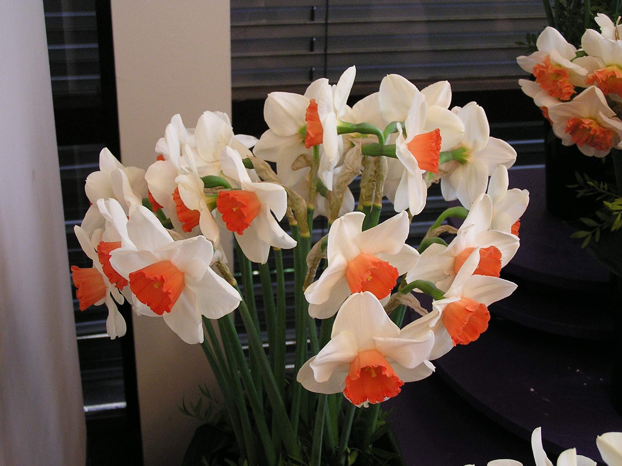 P1010201.JPG