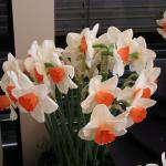 P1010201.JPG