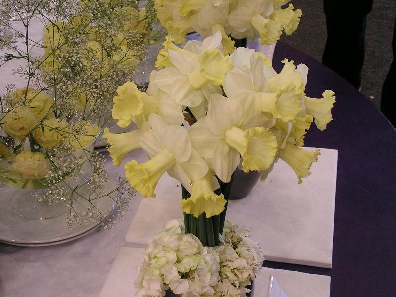 P1010207.JPG