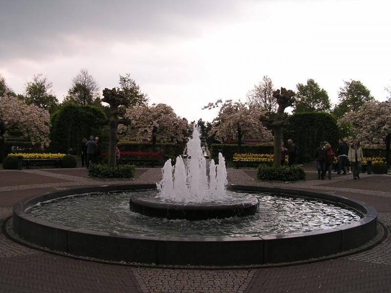 P1010210.JPG