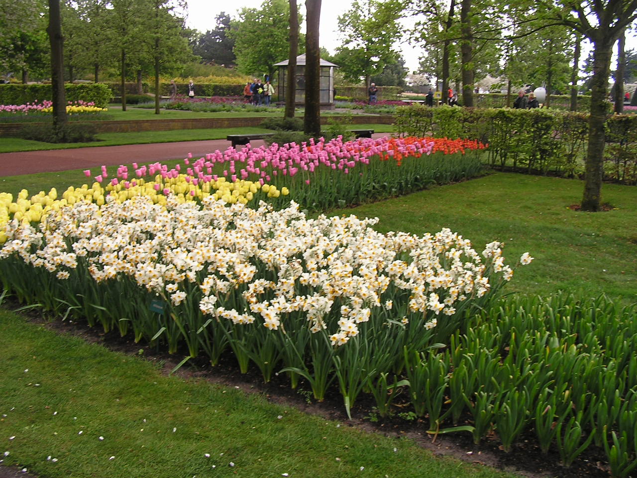 P1010219.JPG
