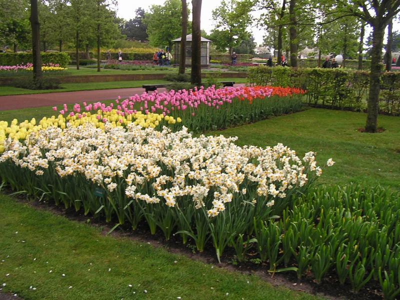 P1010219.JPG