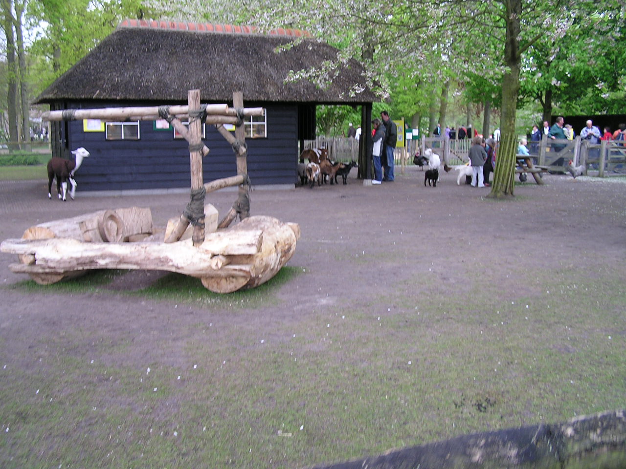 P1010220.JPG