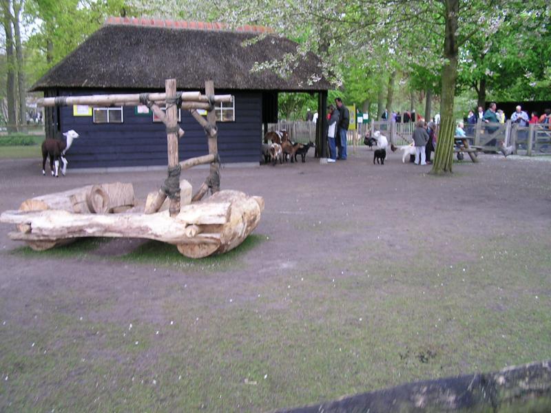 P1010220.JPG