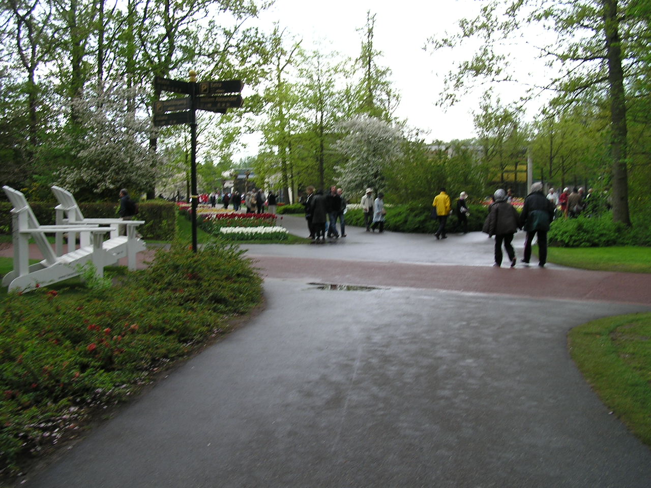 P1010233.JPG