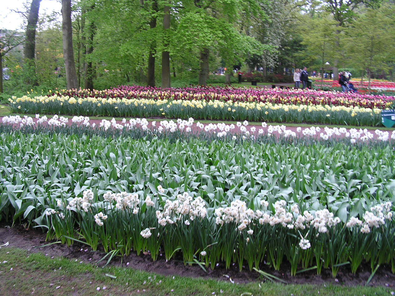 P1010235.JPG