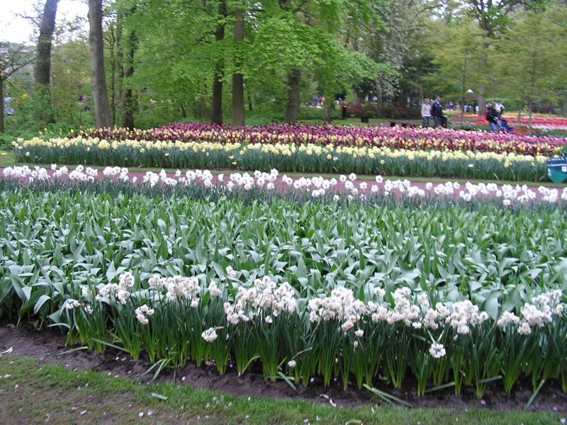 P1010235.JPG