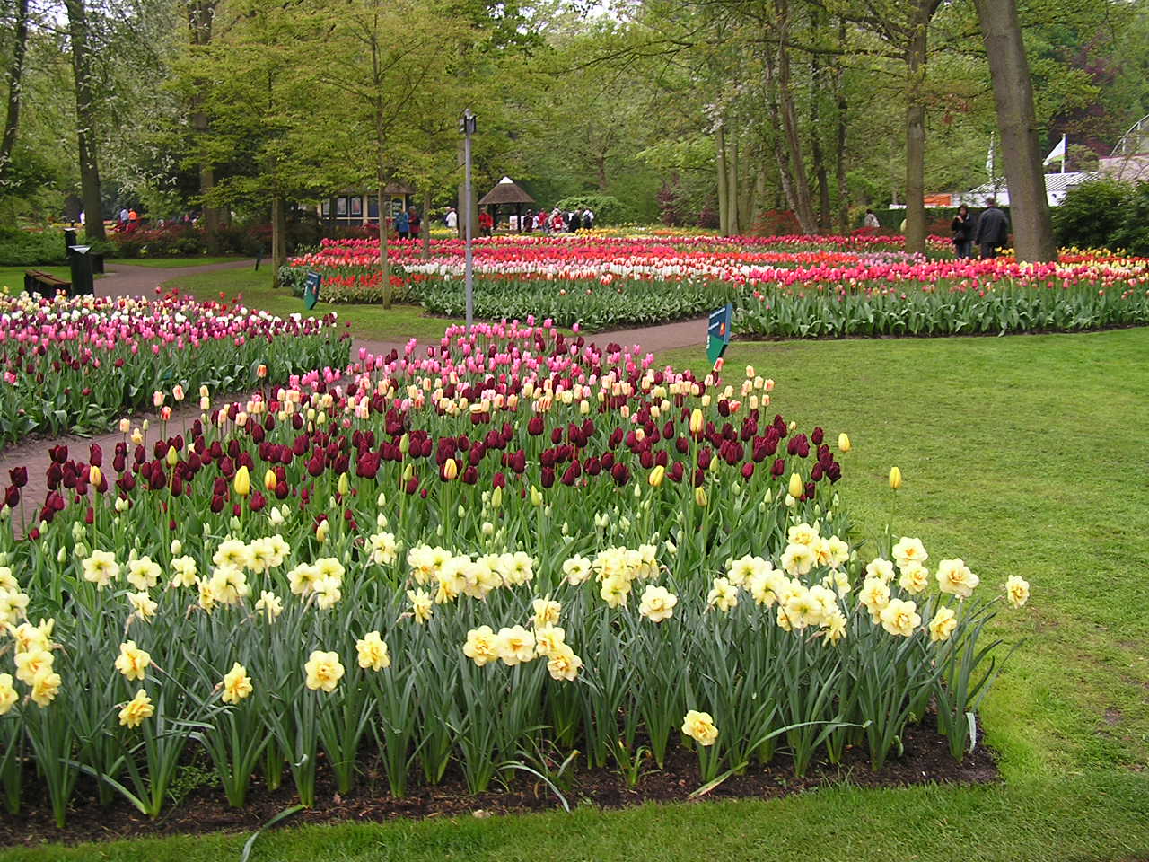 P1010237.JPG