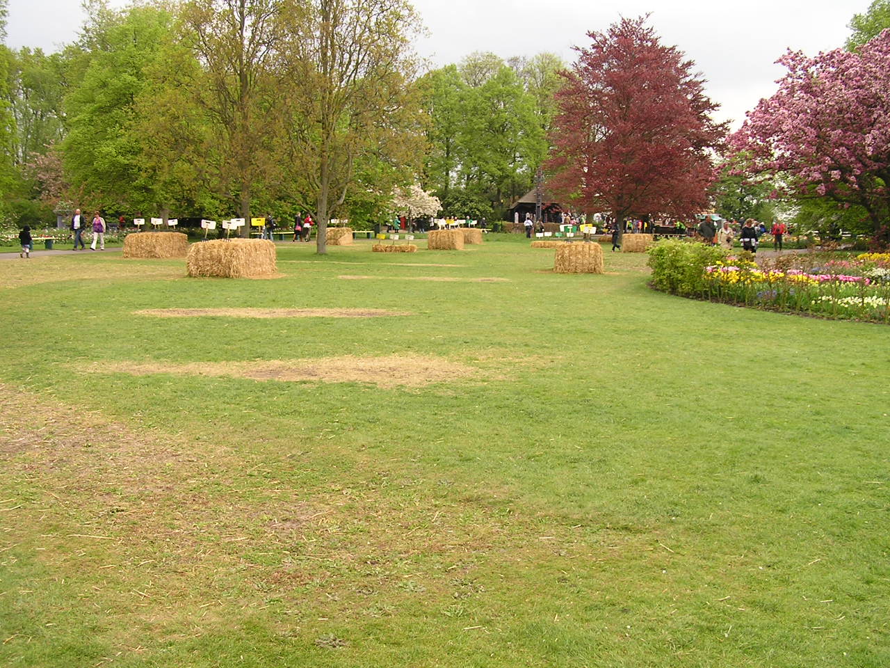 P1010250.JPG