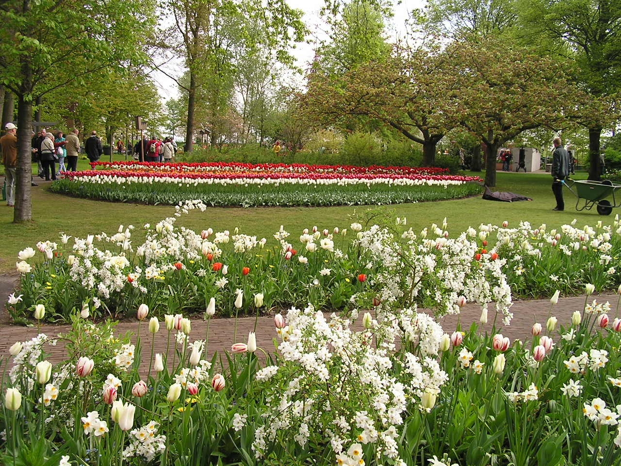 P1010262.JPG