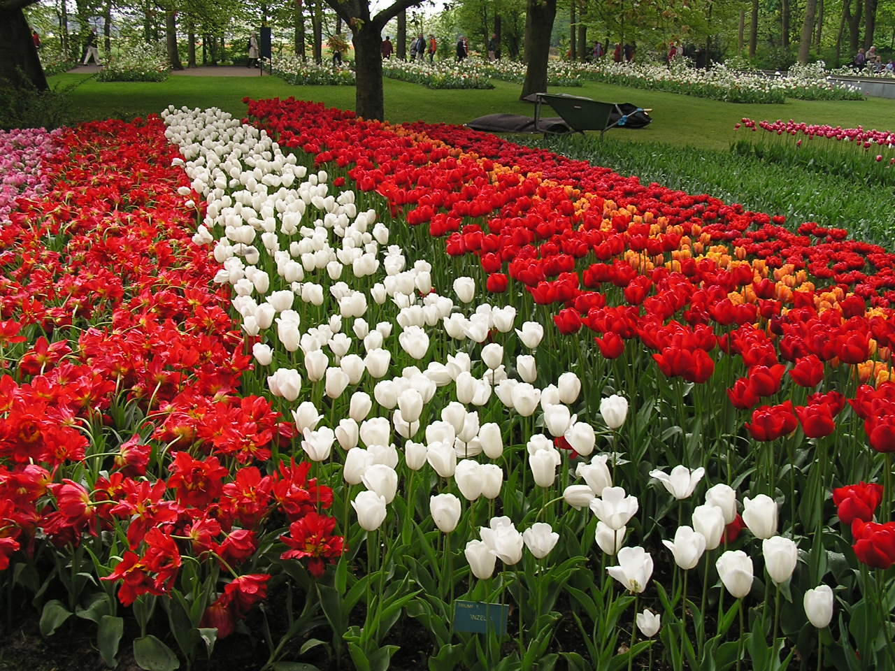 P1010265.JPG