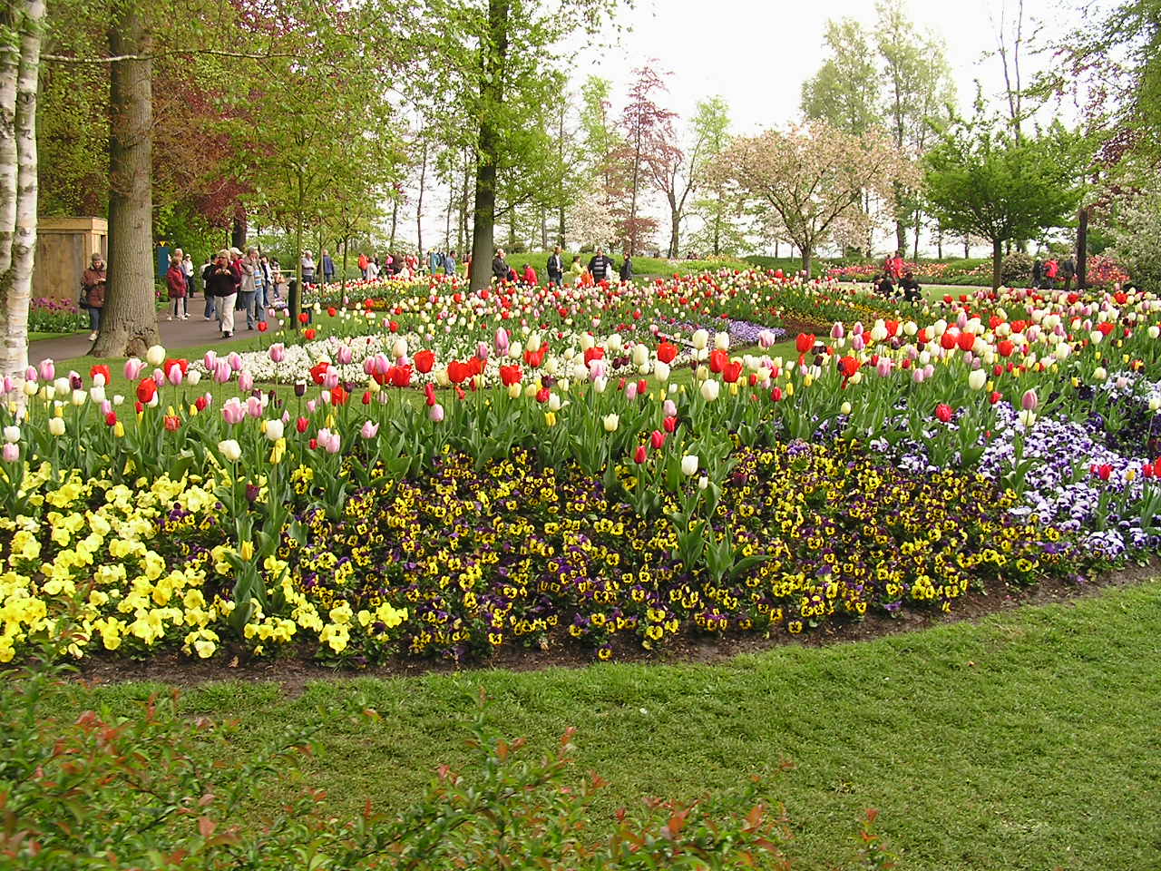 P1010266.JPG