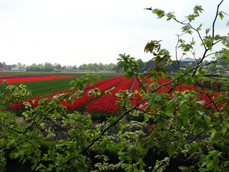 P1010273.JPG
