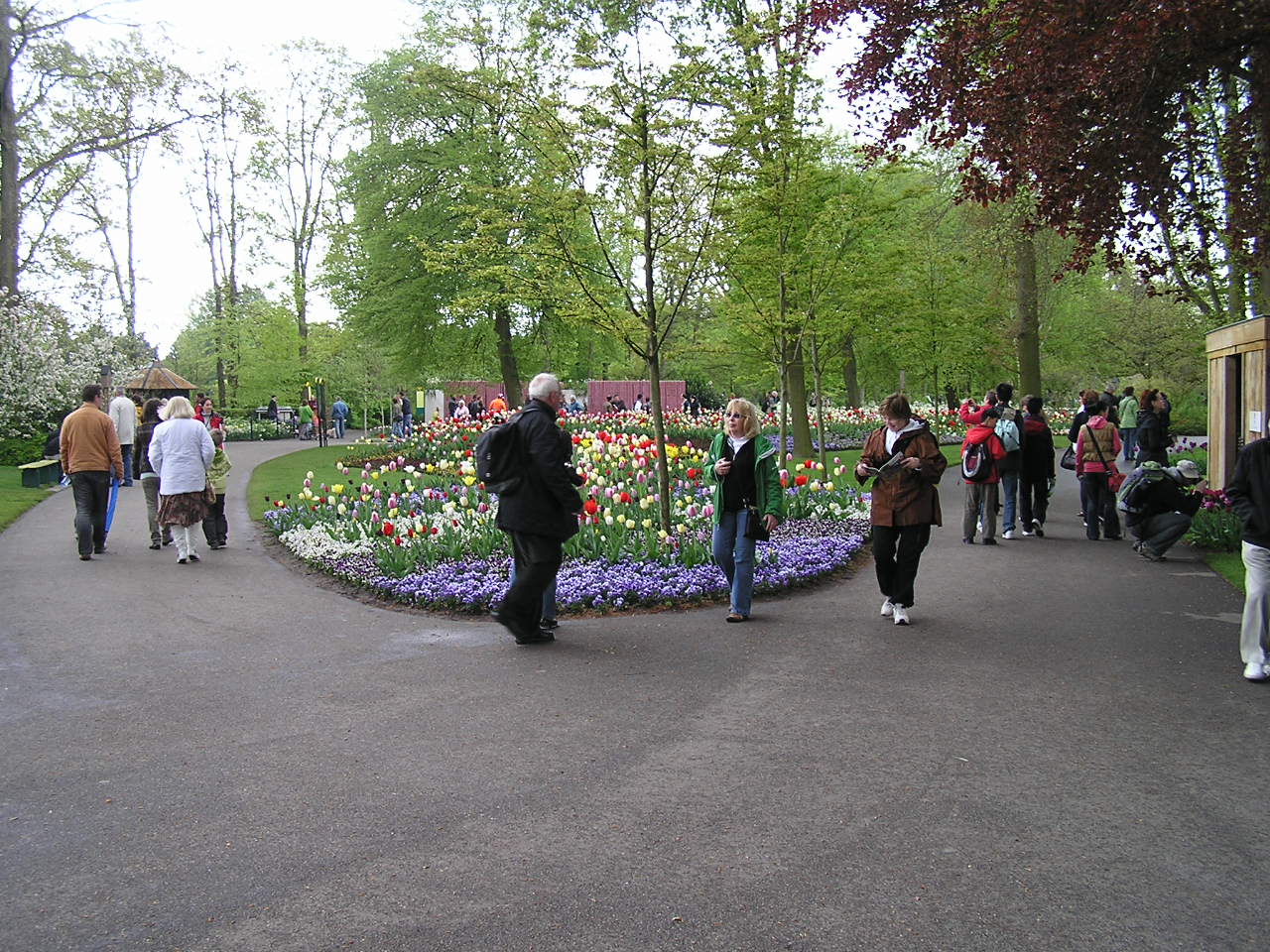 P1010286.JPG