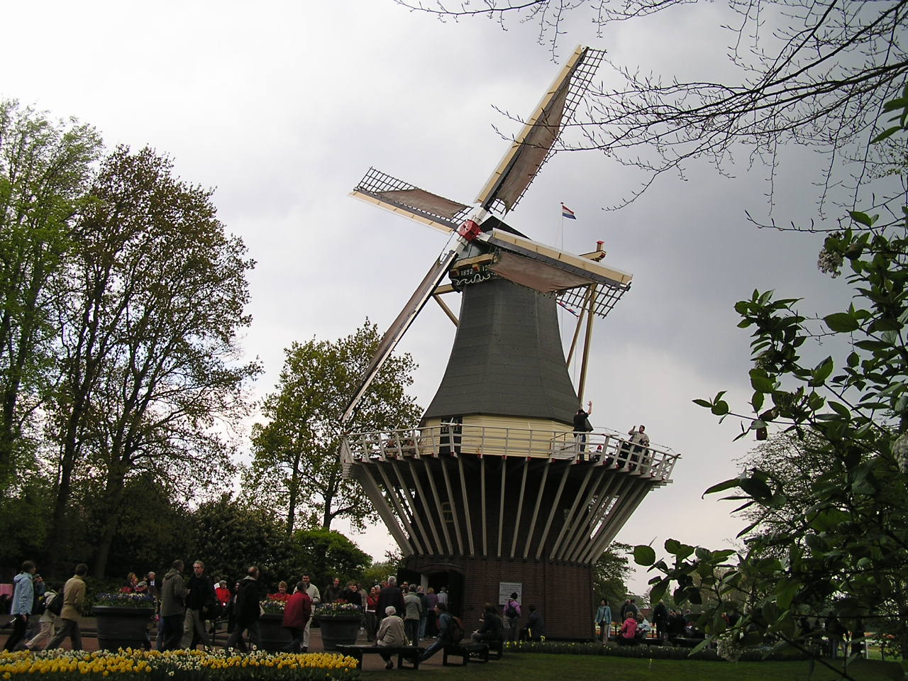 P1010288.JPG