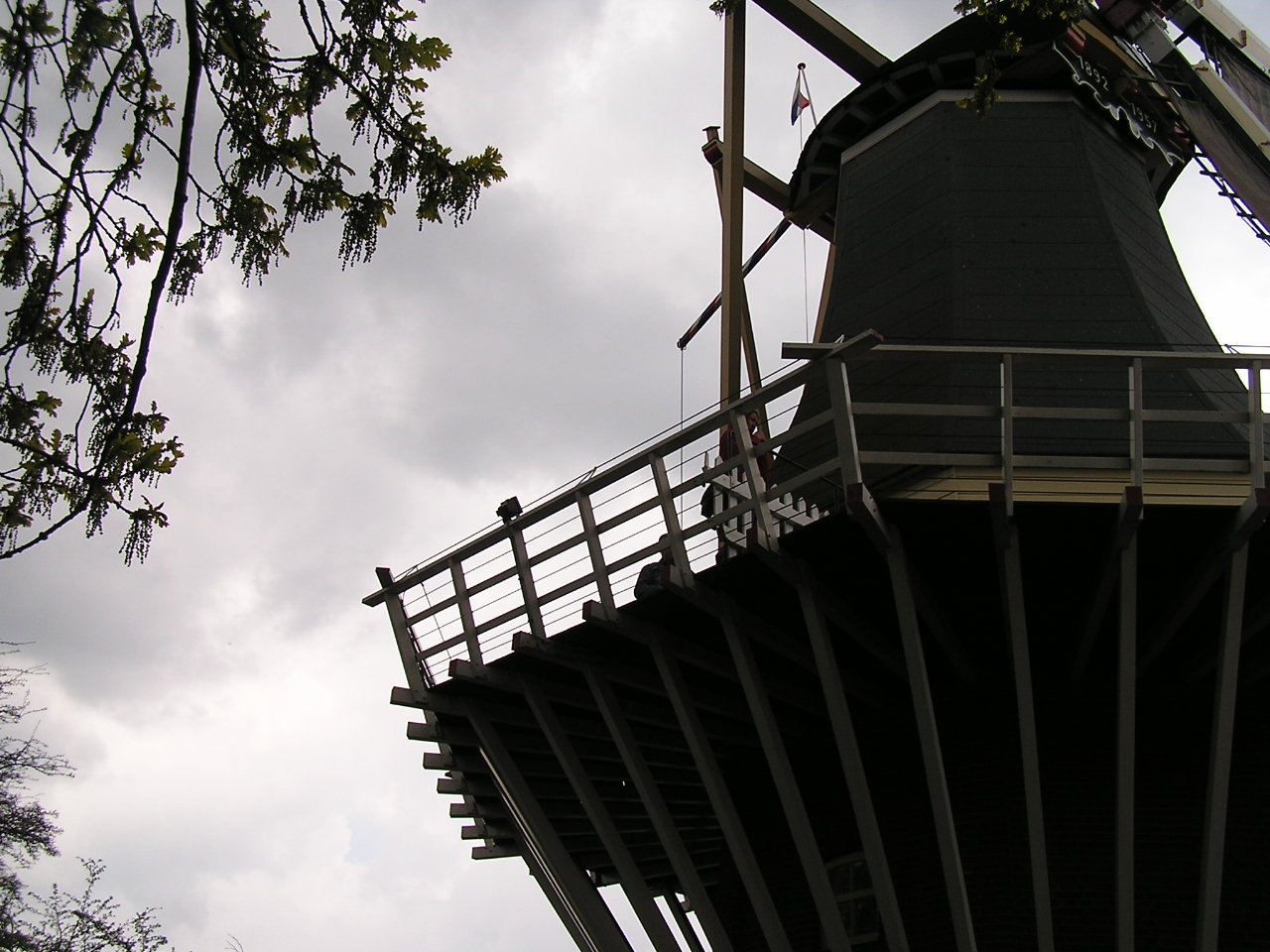 P1010293.JPG