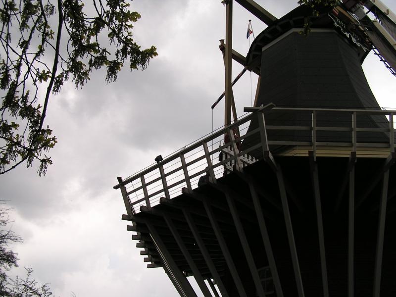 P1010293.JPG