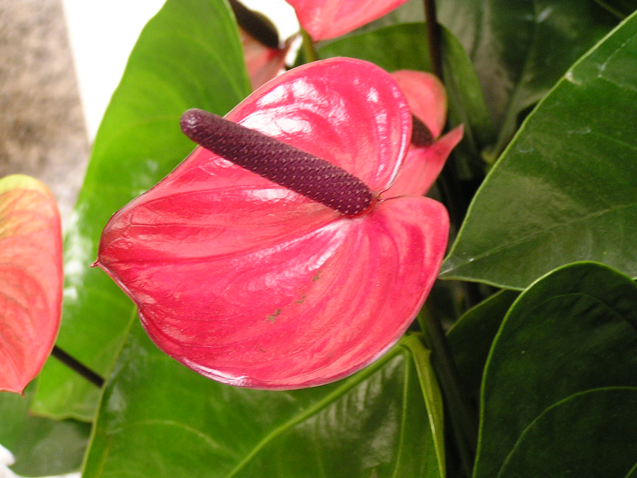 P1010333.JPG