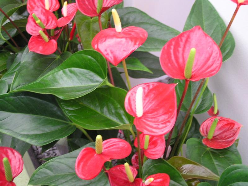 P1010335.JPG