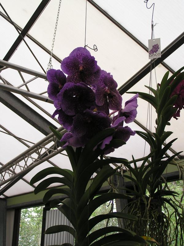 P1010336.JPG