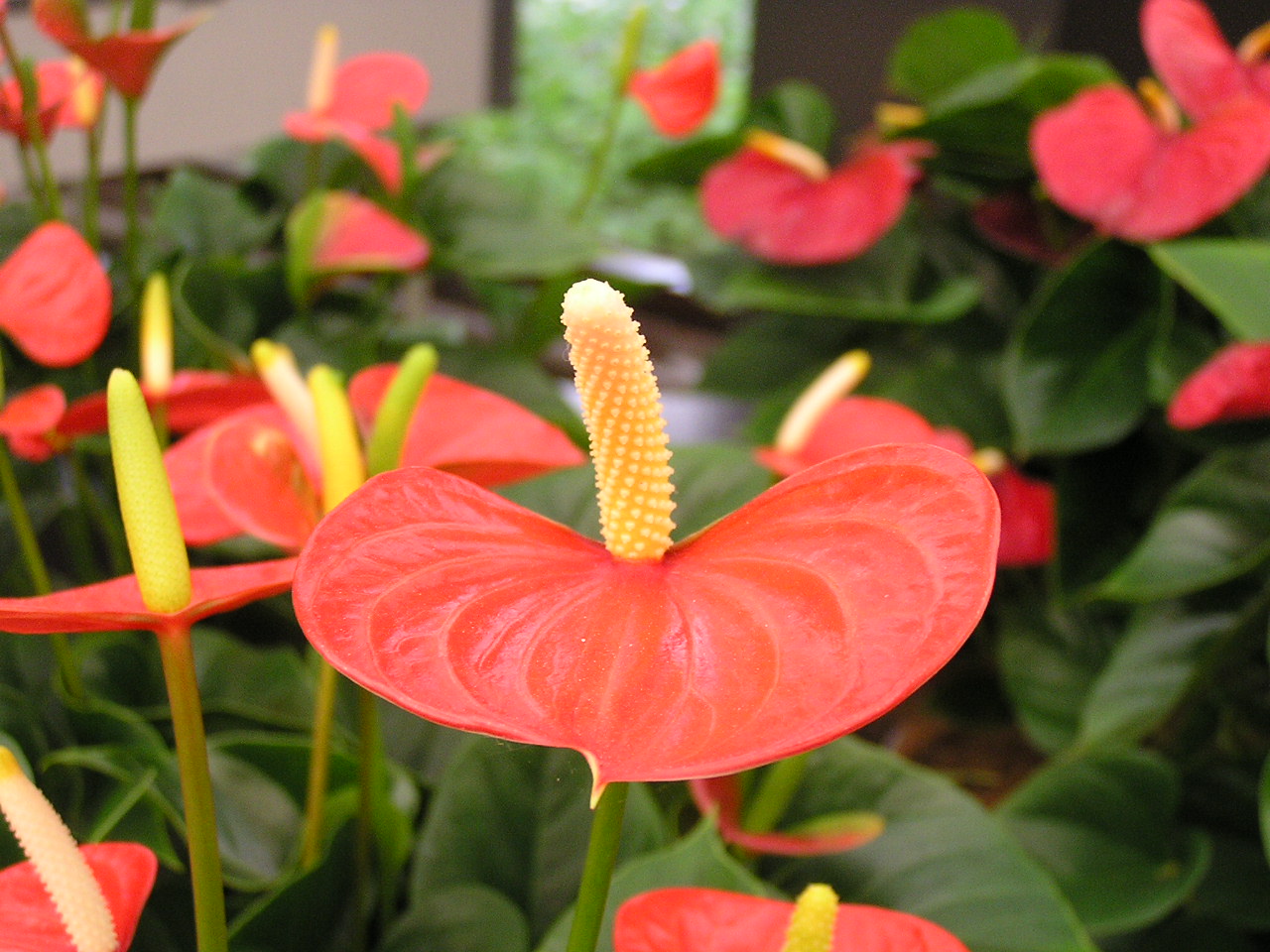 P1010347.JPG