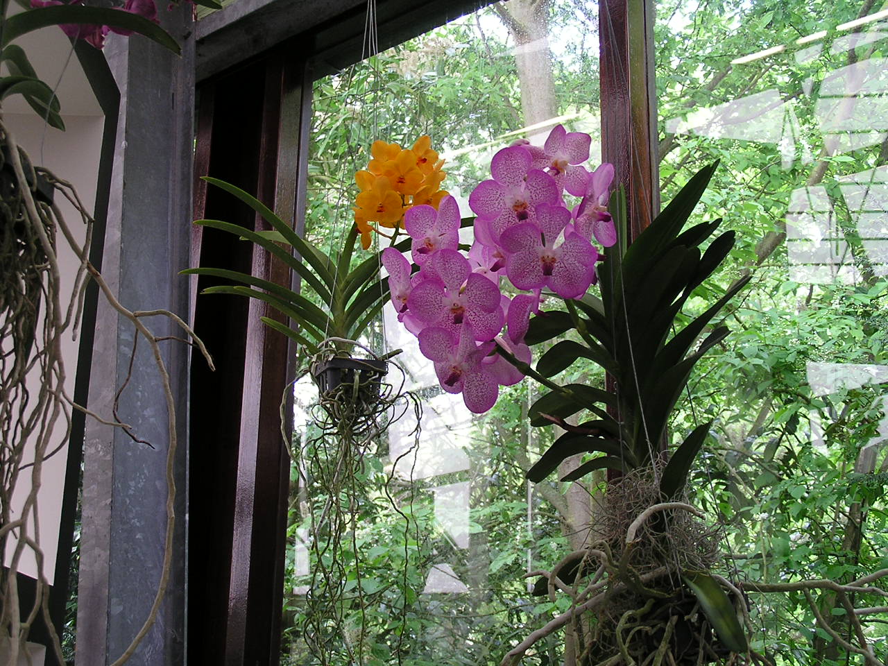 P1010367.JPG