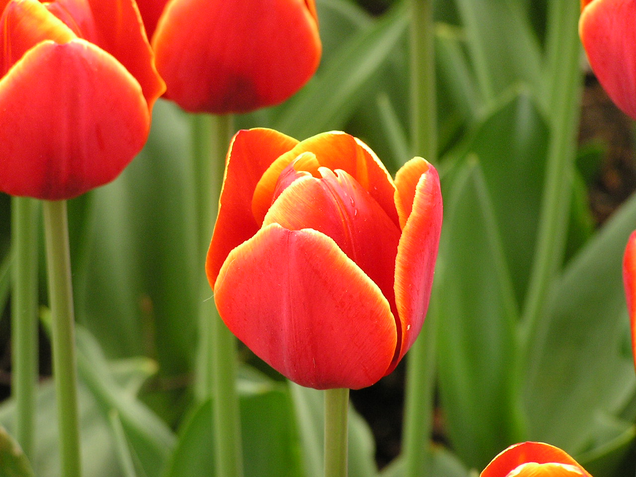 P1010380.JPG