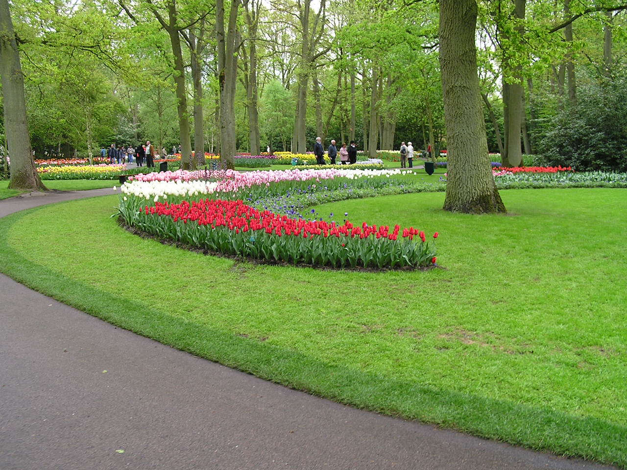 P1010388.JPG