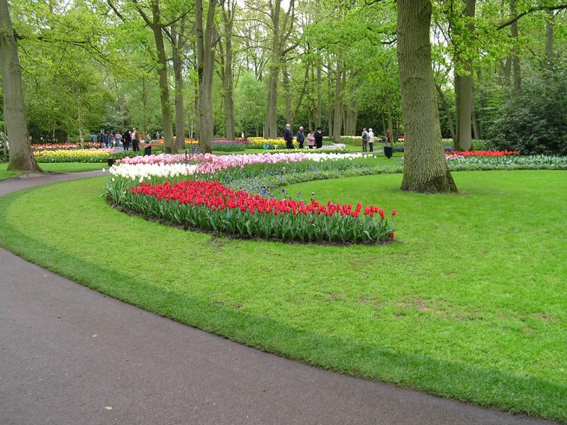 P1010388.JPG