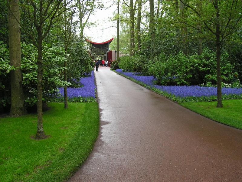 P1010397.JPG
