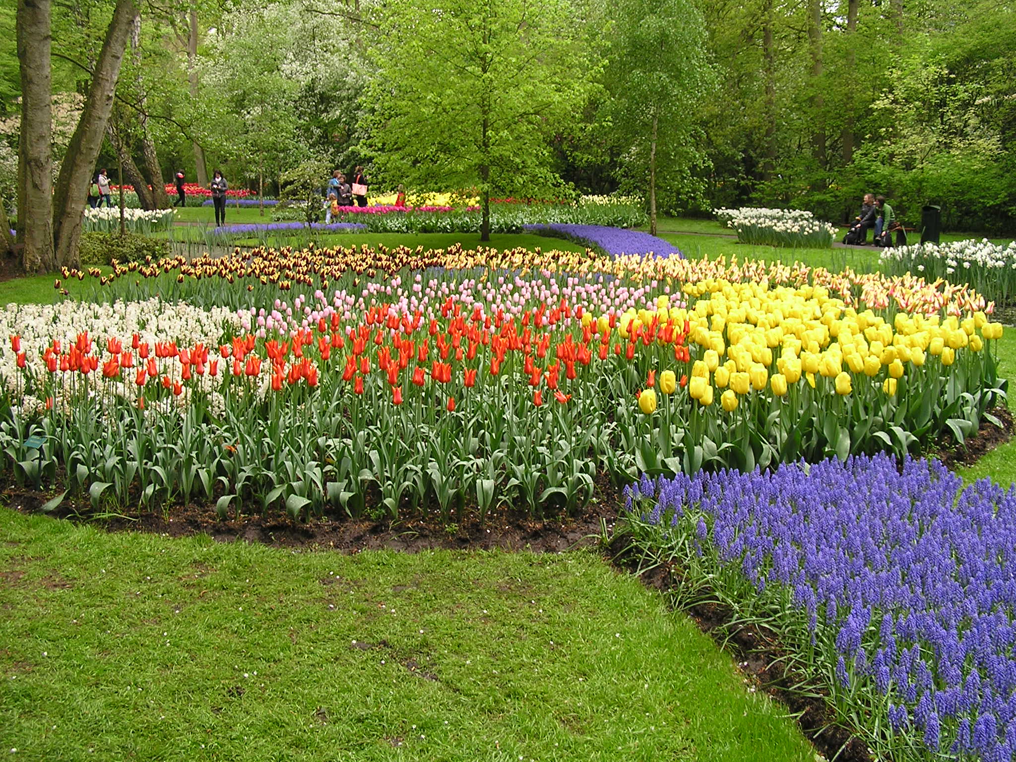 P1010401.JPG
