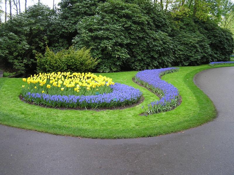 P1010412.JPG