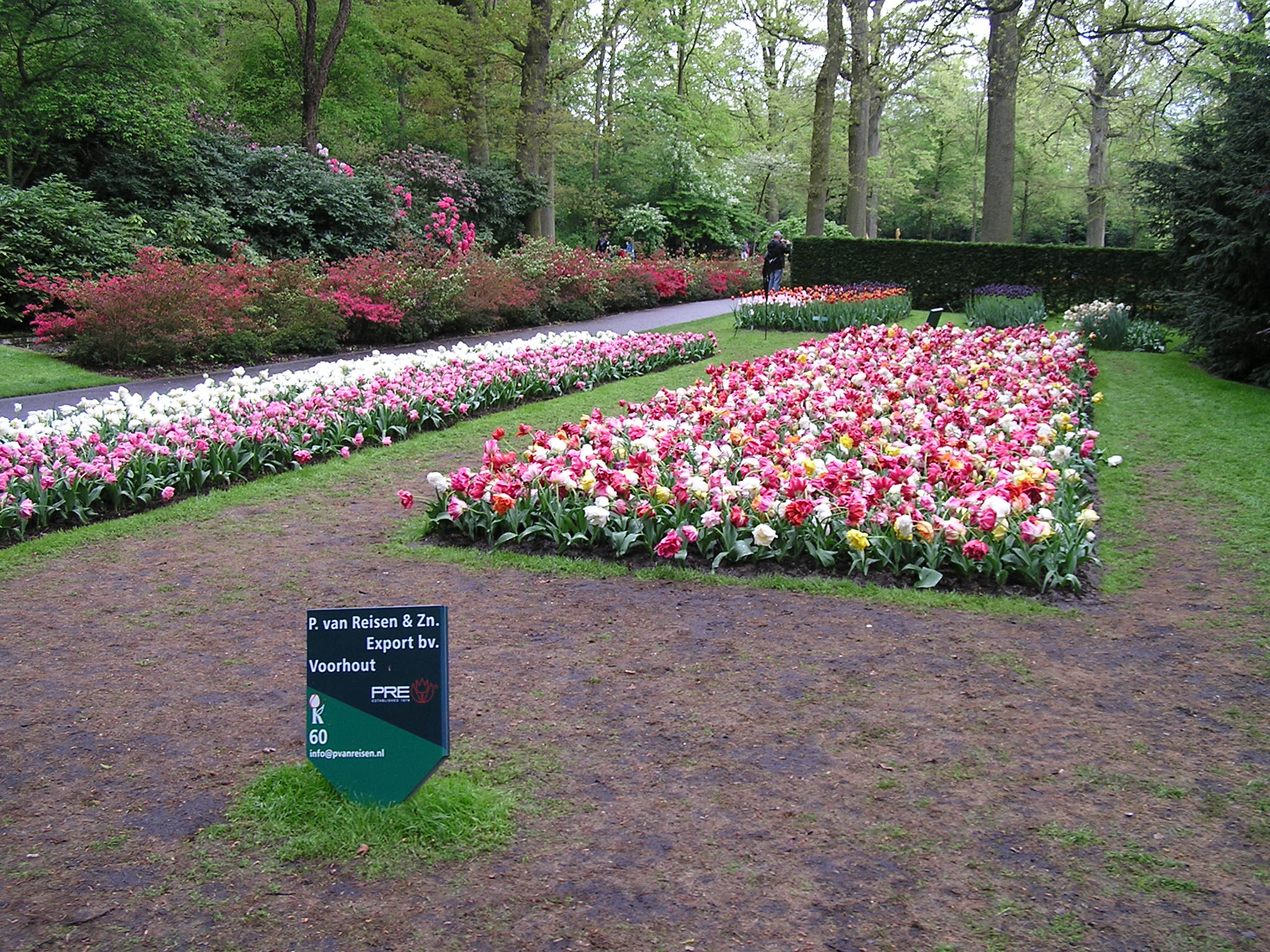 P1010415.JPG