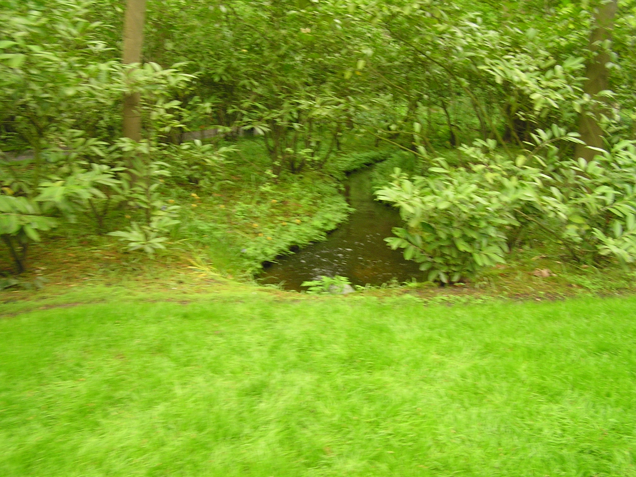 P1010417.JPG