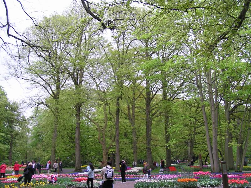 P1010420.JPG