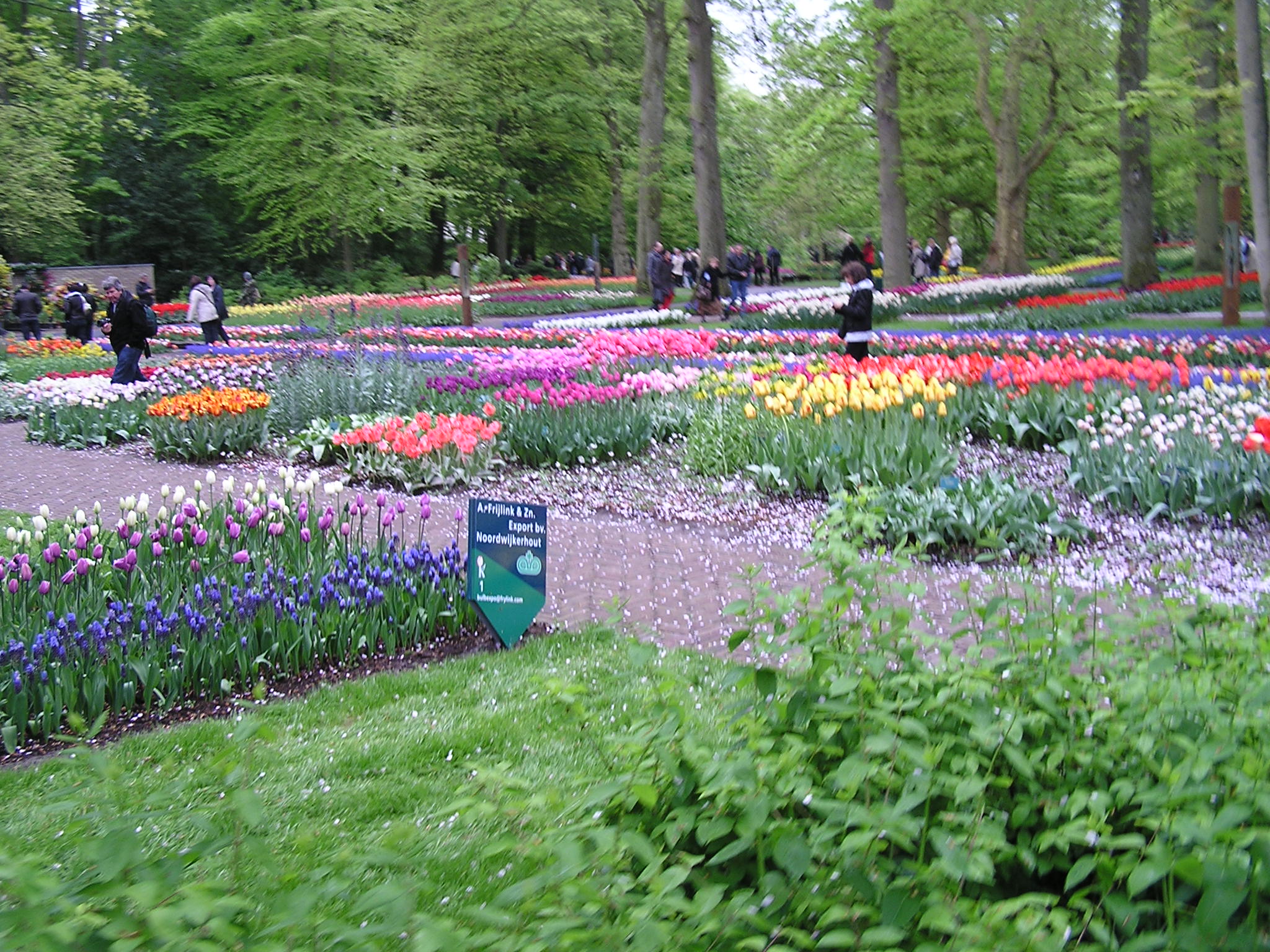 P1010422.JPG