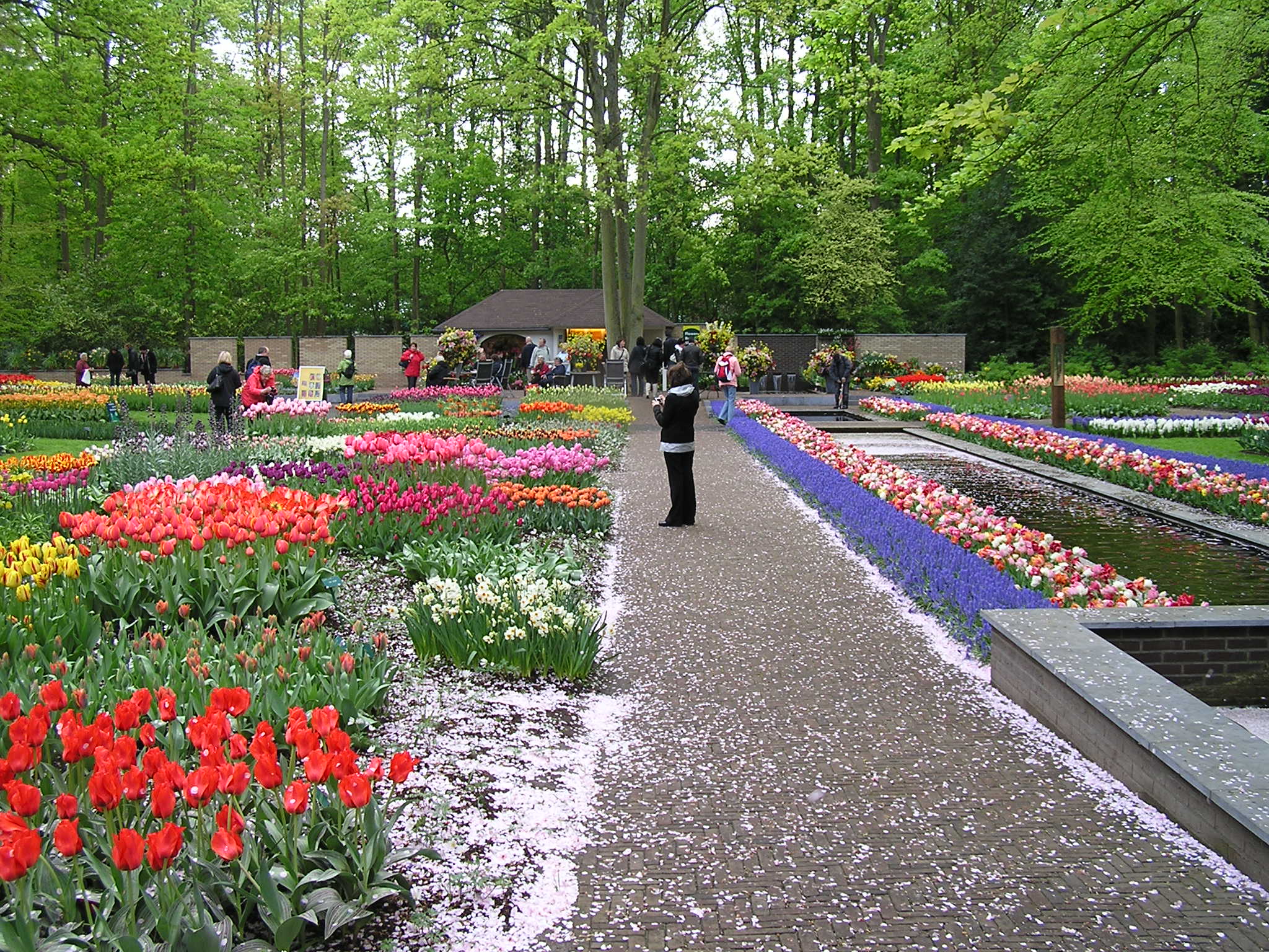 P1010424.JPG