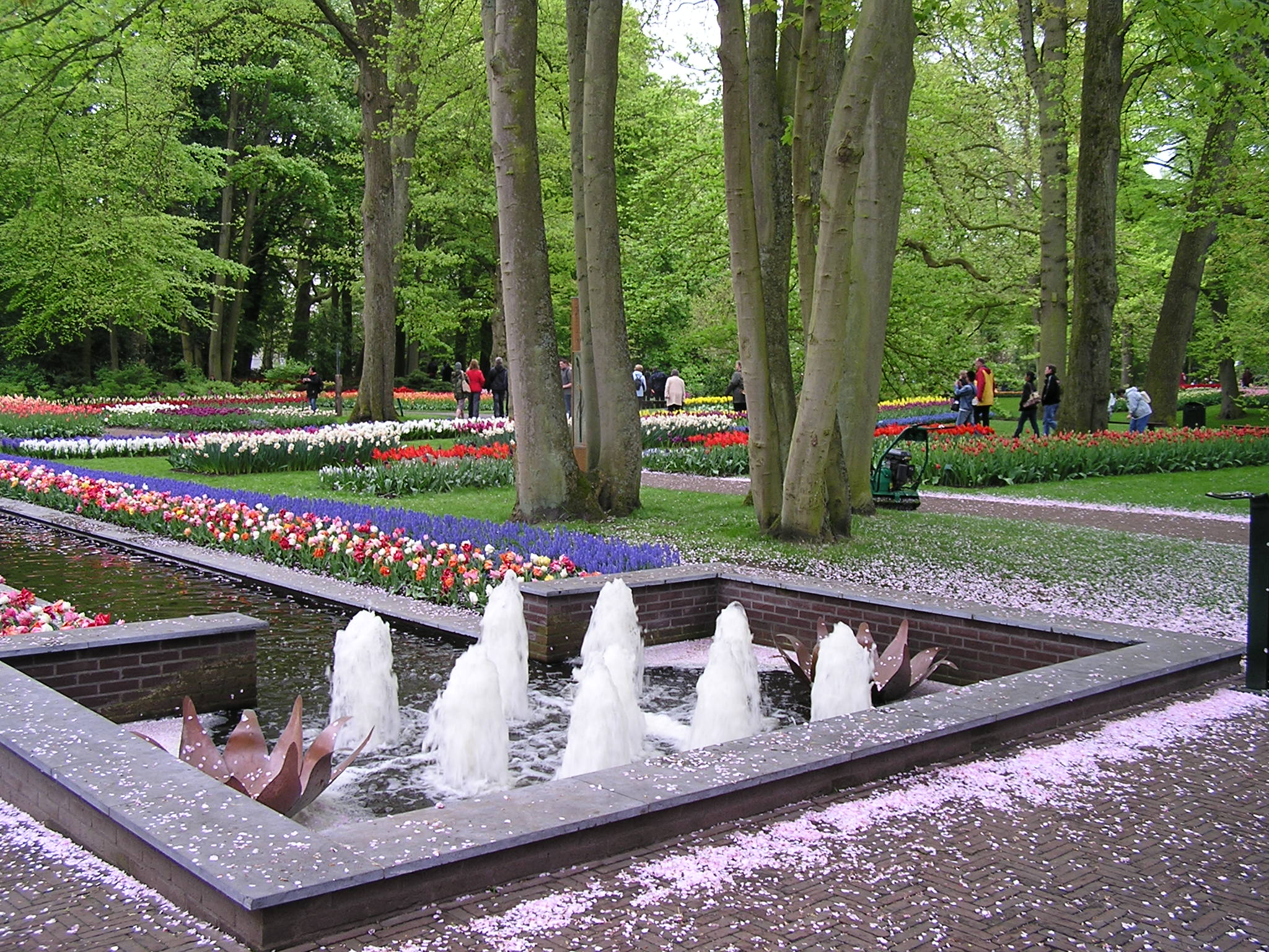 P1010425.JPG