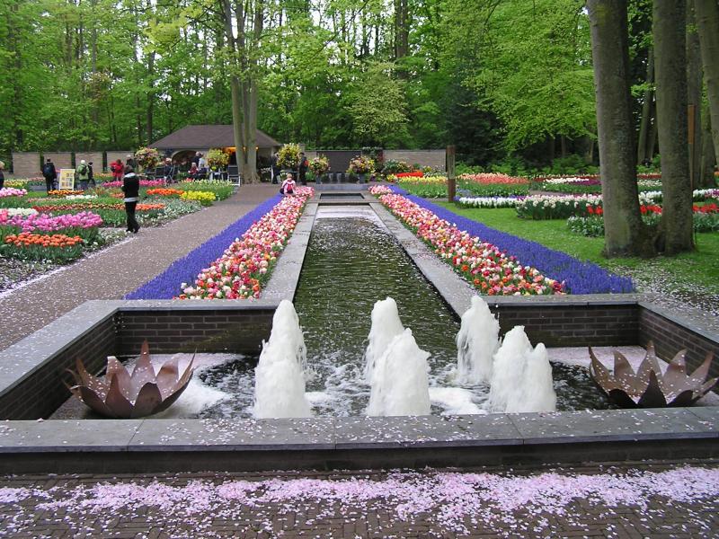 P1010426.JPG