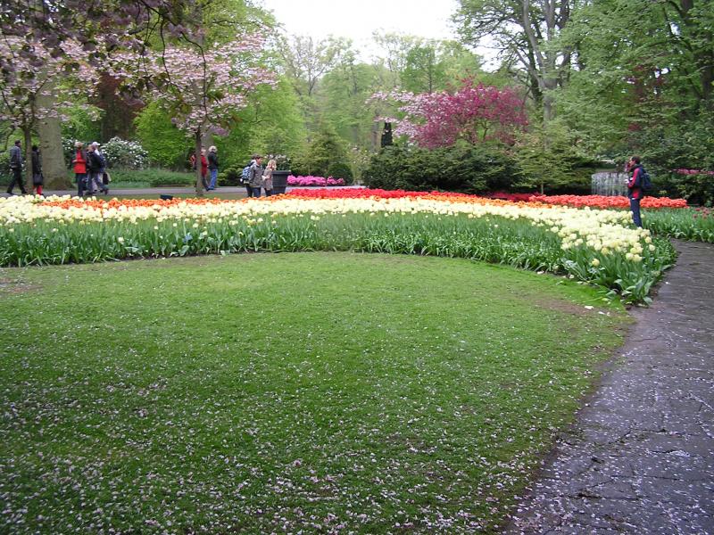 P1010429.JPG