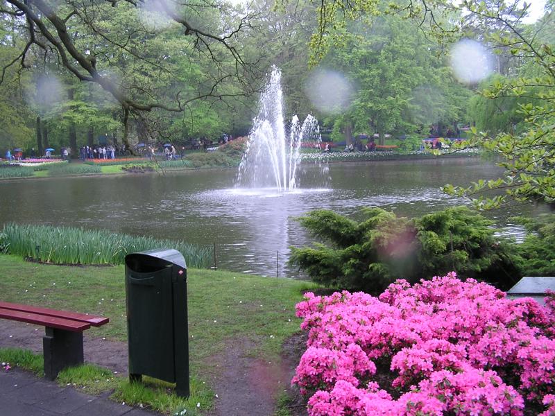 P1010431.JPG