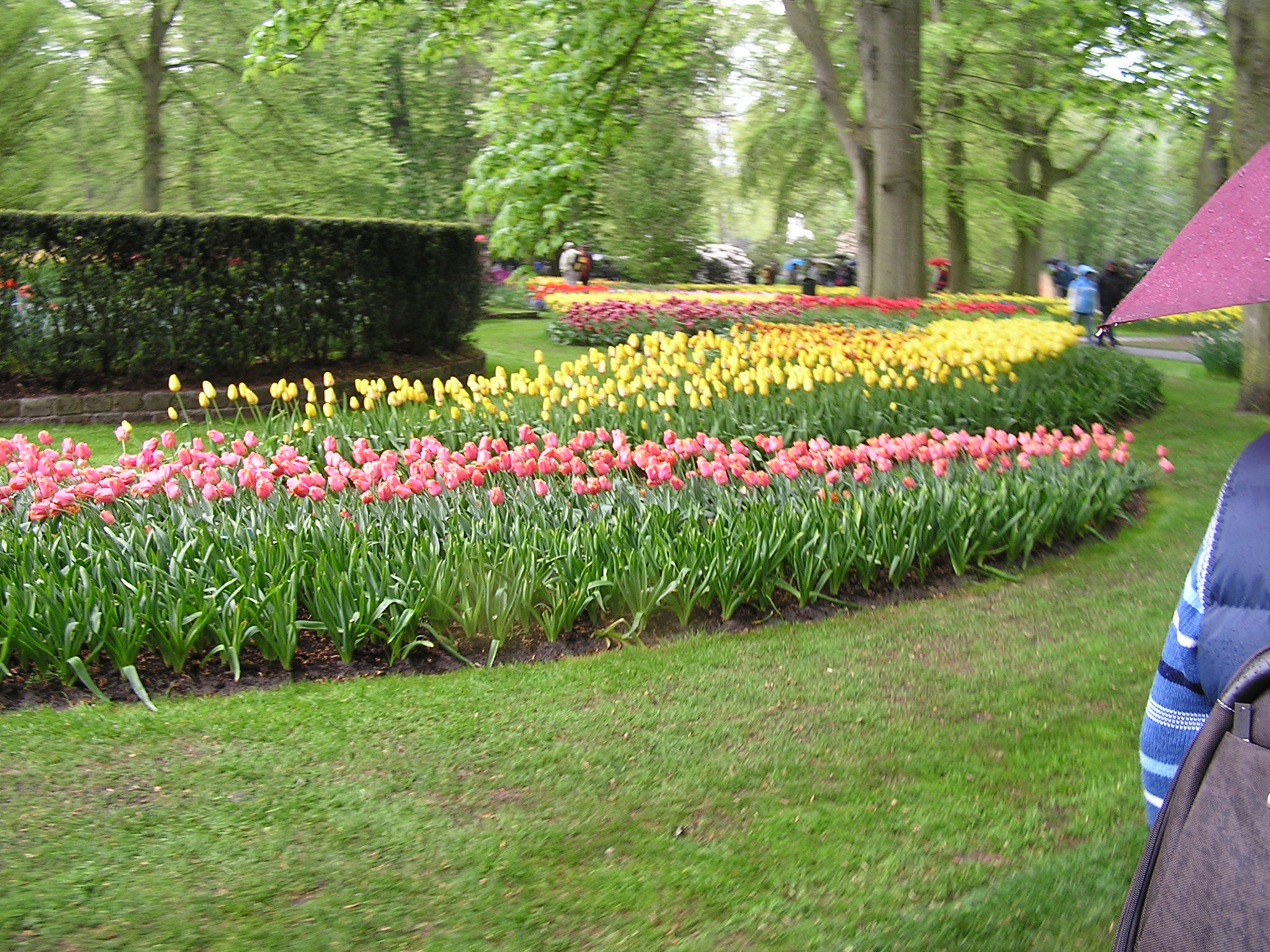 P1010433.JPG