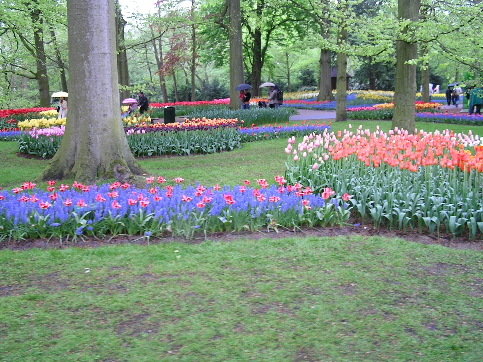 P1010435.JPG