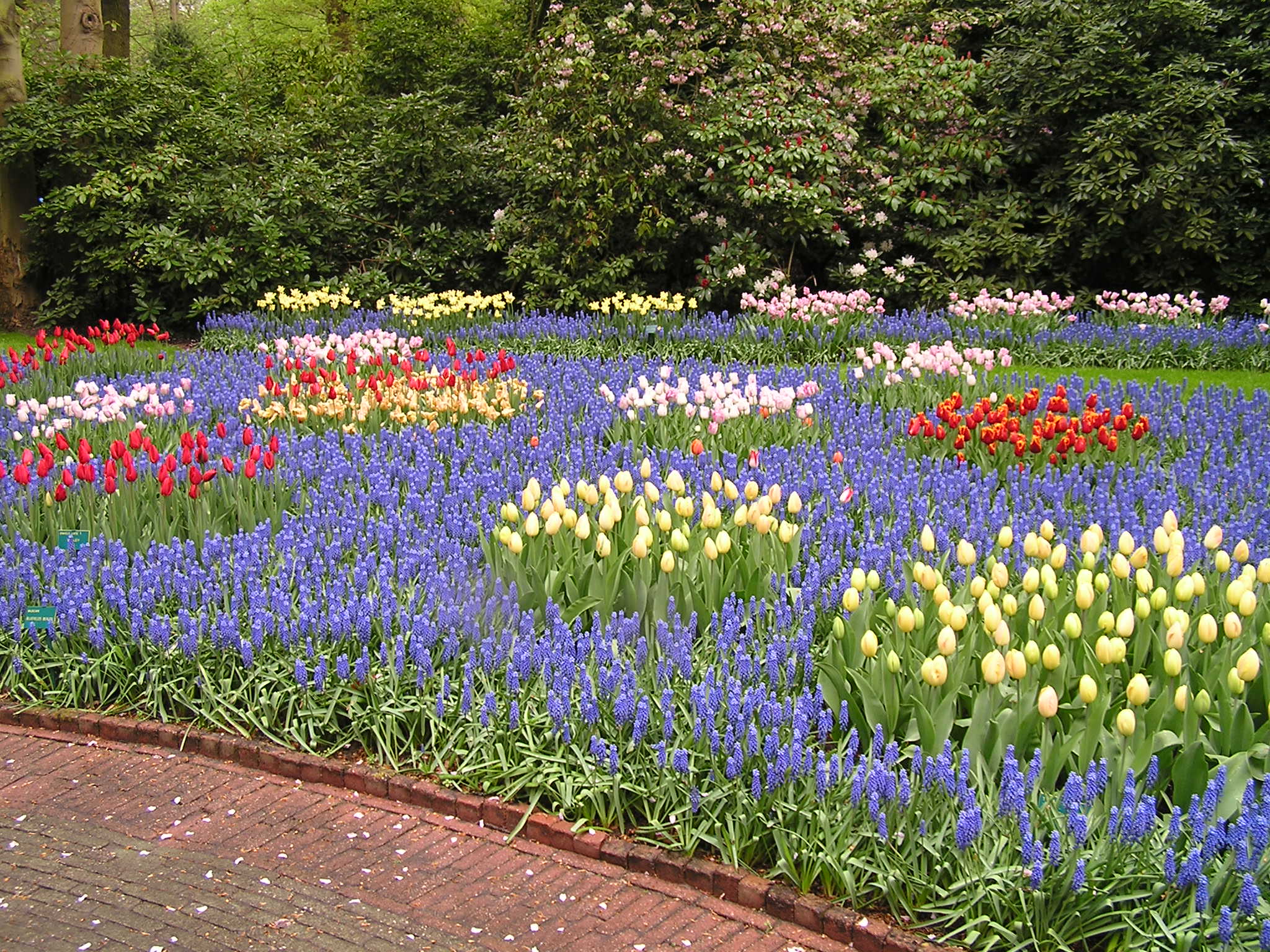 P1010439.JPG