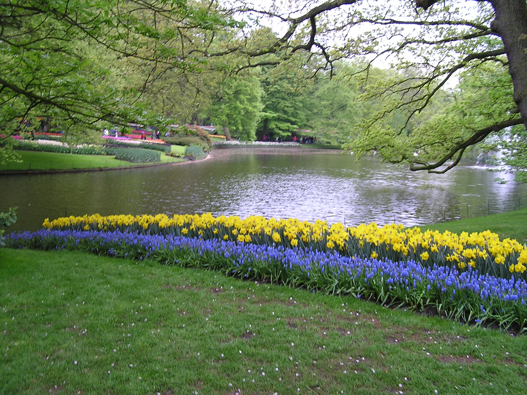 P1010449.JPG