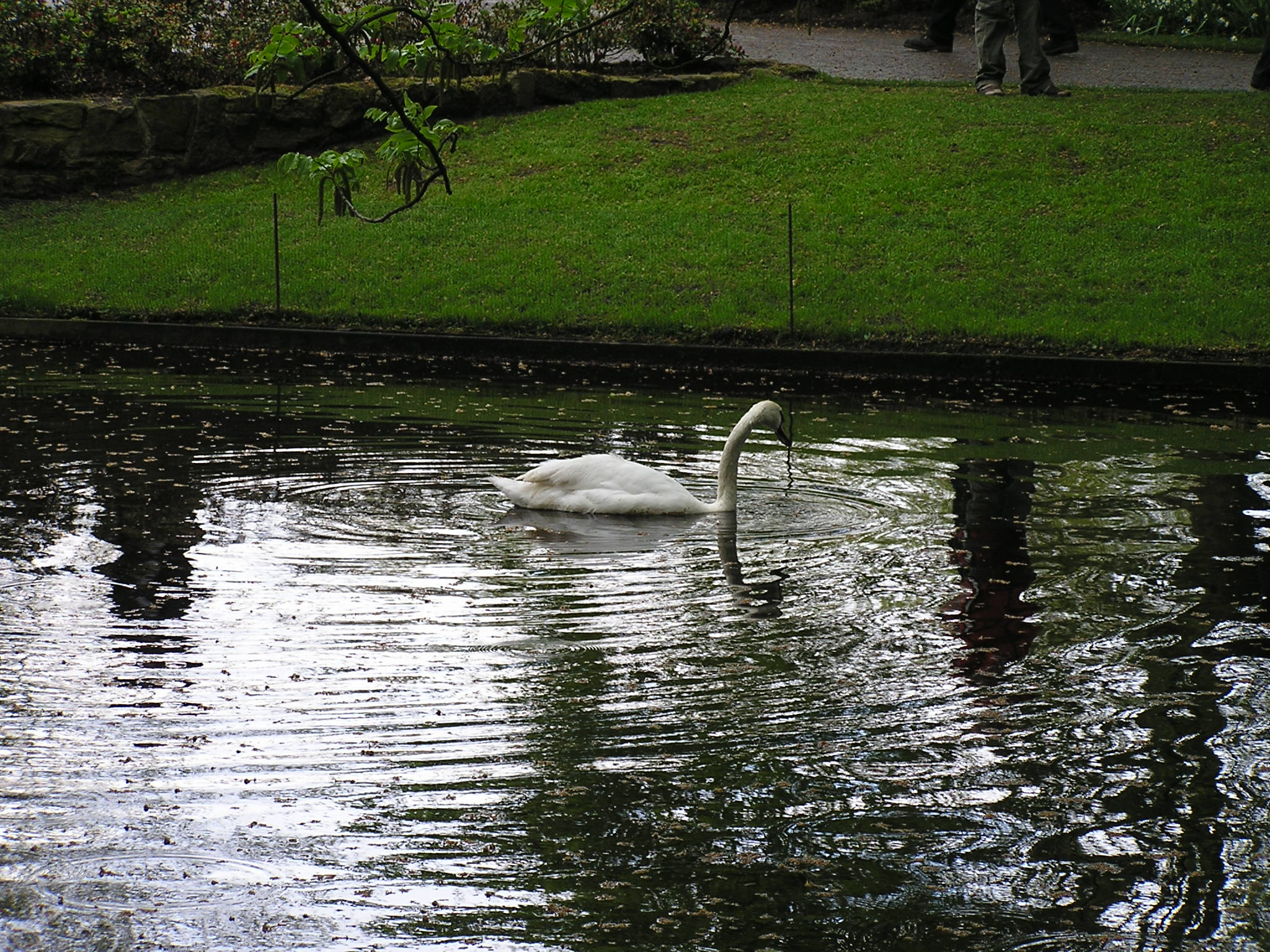P1010456.JPG