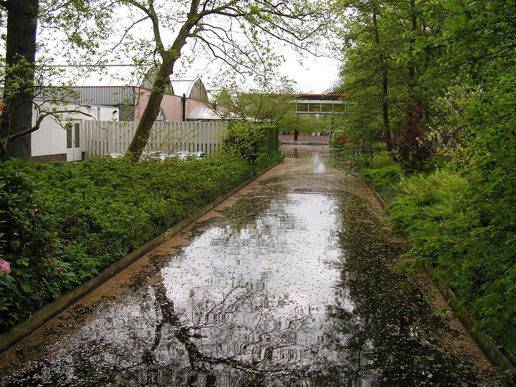P1010459.JPG