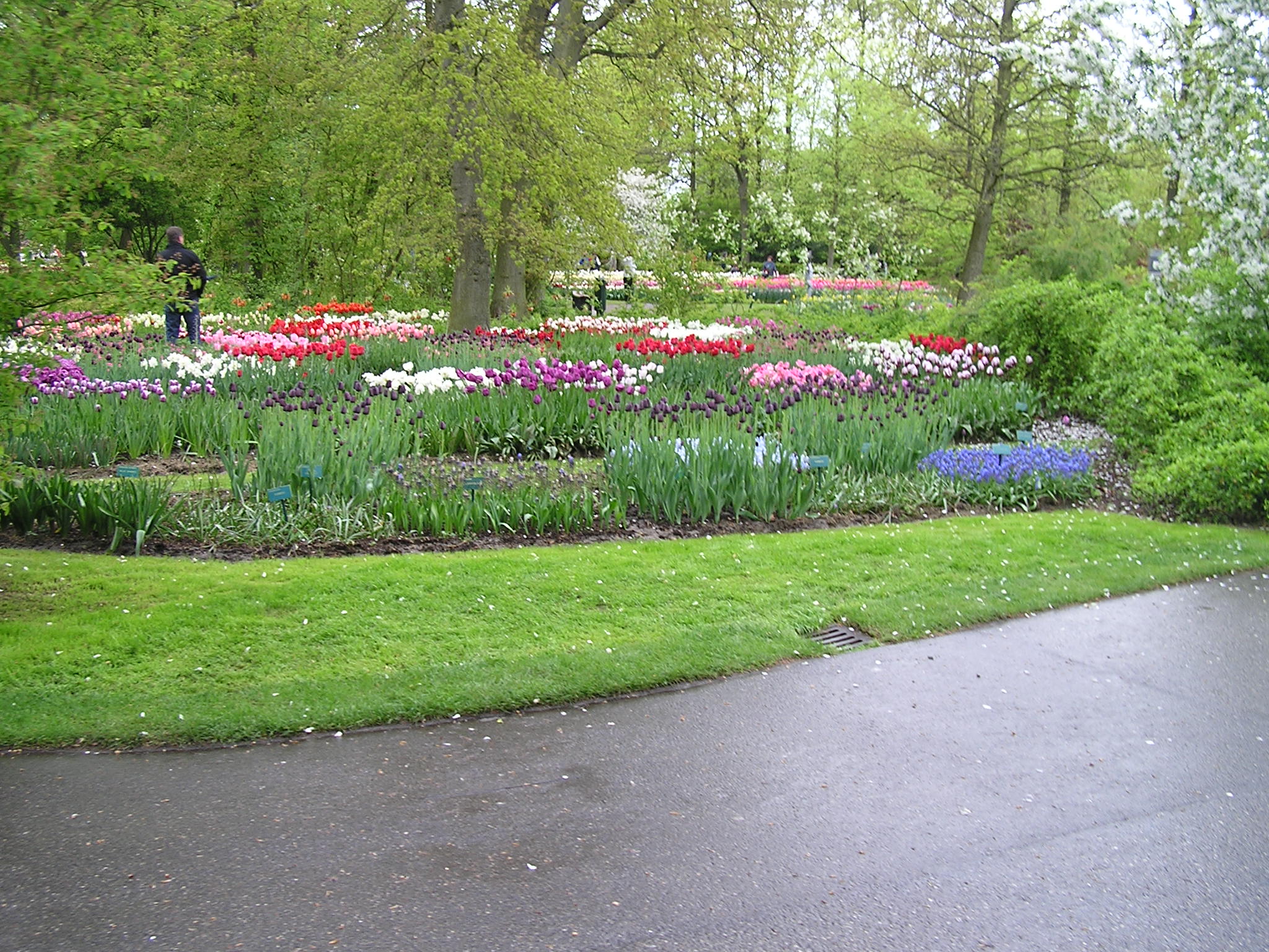 P1010461.JPG