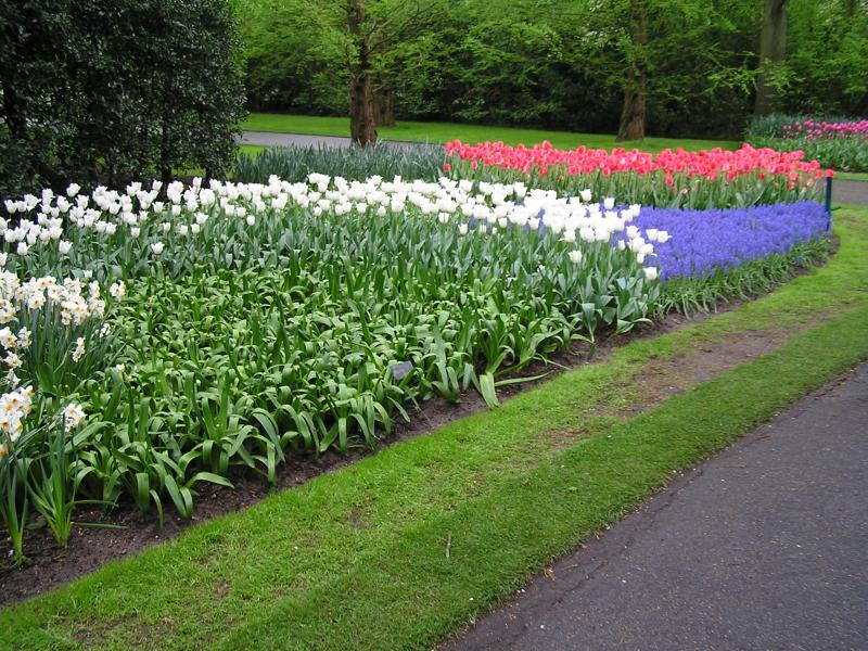 P1010467.JPG